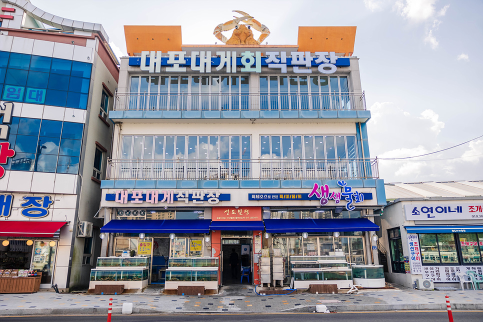 속초 킹크랩 맛집 대포항 직판장 특별한 메뉴 굿굿