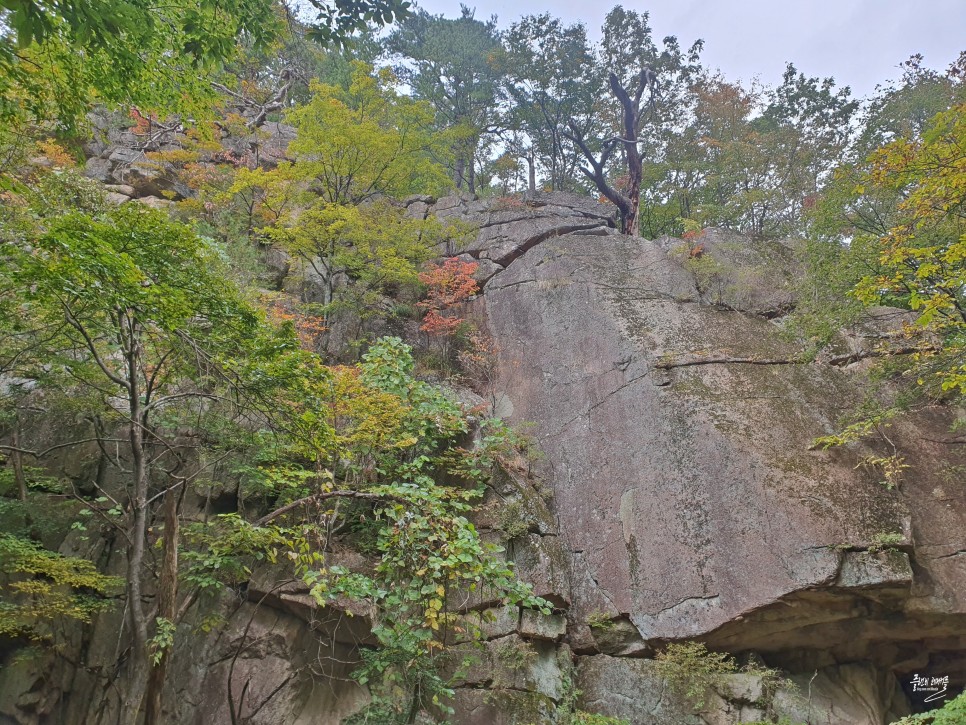 실시간 설악산 단풍 권금성 케이블카 비선대