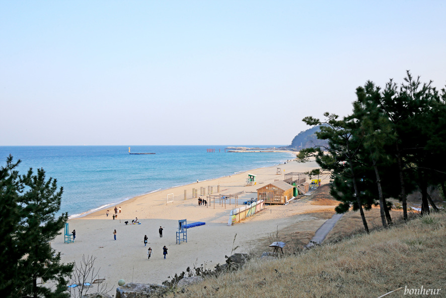 강원도 오션뷰 숙소 삼척 쏠비치 호텔 리조트 예약과 삼척해수욕장