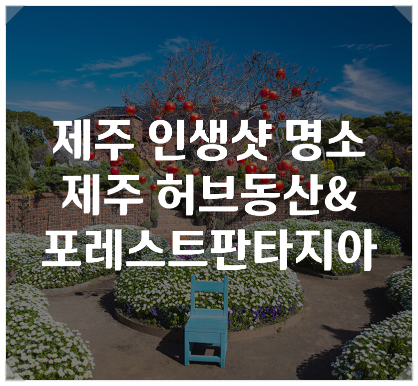 제주 허브동산,포레스트 판타지아-제주도 인생샷 맛집!!
