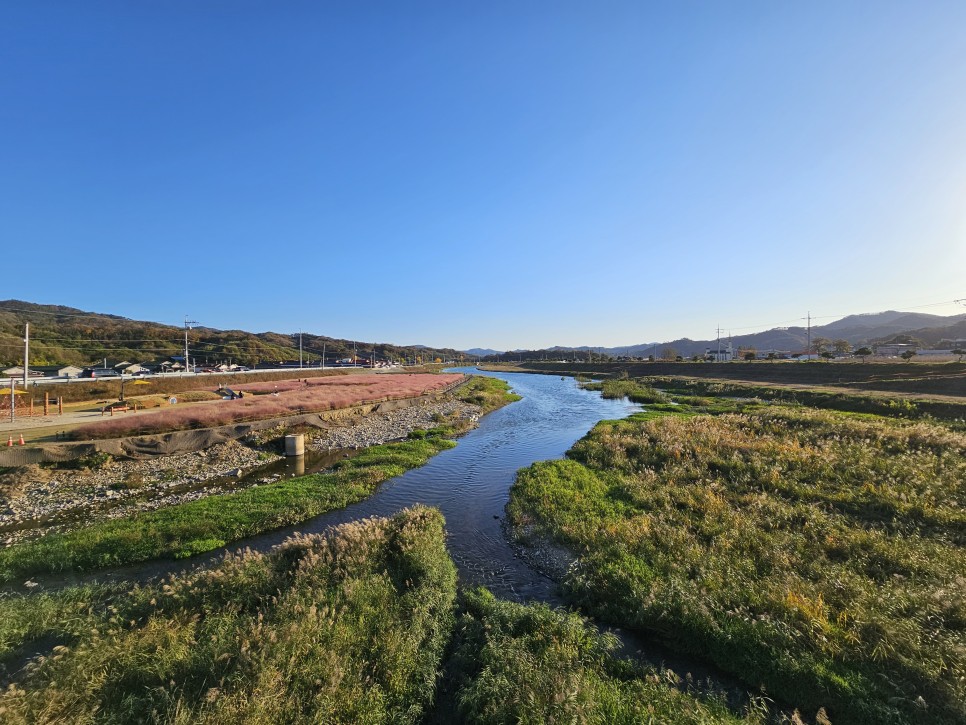 유구 핑크뮬리 공주 데이트 가을 여행 코스 추천