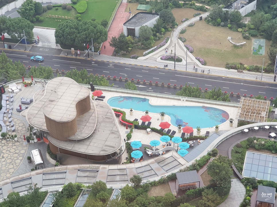 중국 상해 여행 상하이 W 호텔 객실 조식 수영장 후기