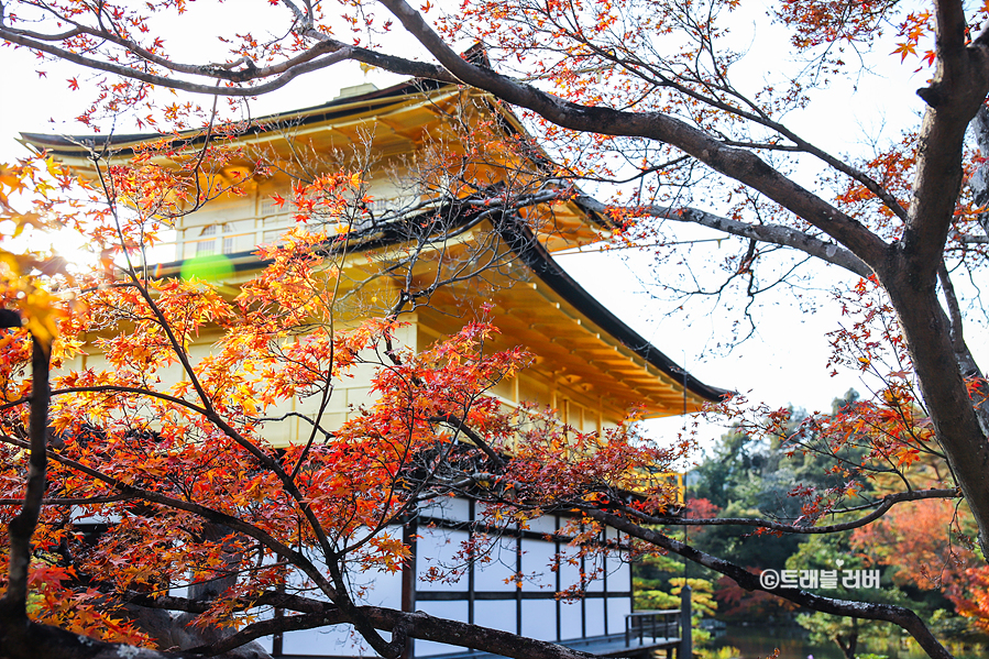 11월 일본여행 오사카 교토 당일치기 버스투어 교토 여행 코스