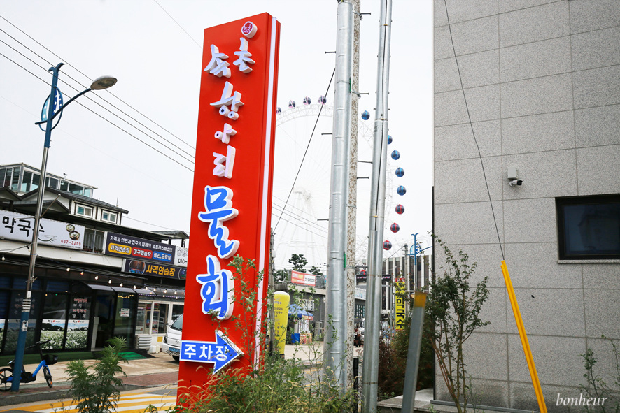 속초 대관람차 보며 즐기는 속초 항아리 물회 청초호근처맛집