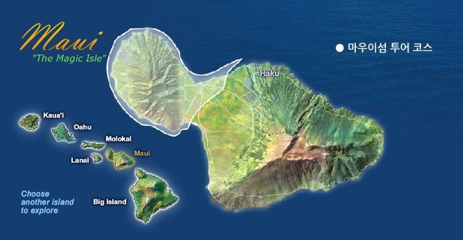 하와이 여행일정 :: 하나우마베이 스노쿨링 / 마사지 / 헬기투어
