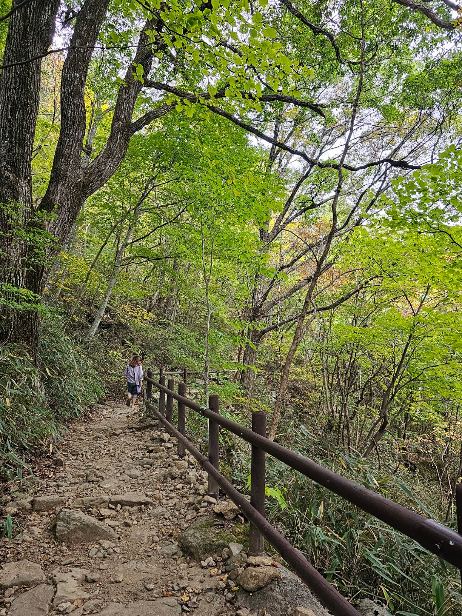 지리산 백무동계곡 탐방지원센터~가내소폭포 가을 초보 등산 코스 3km 걷기 후기(함양)