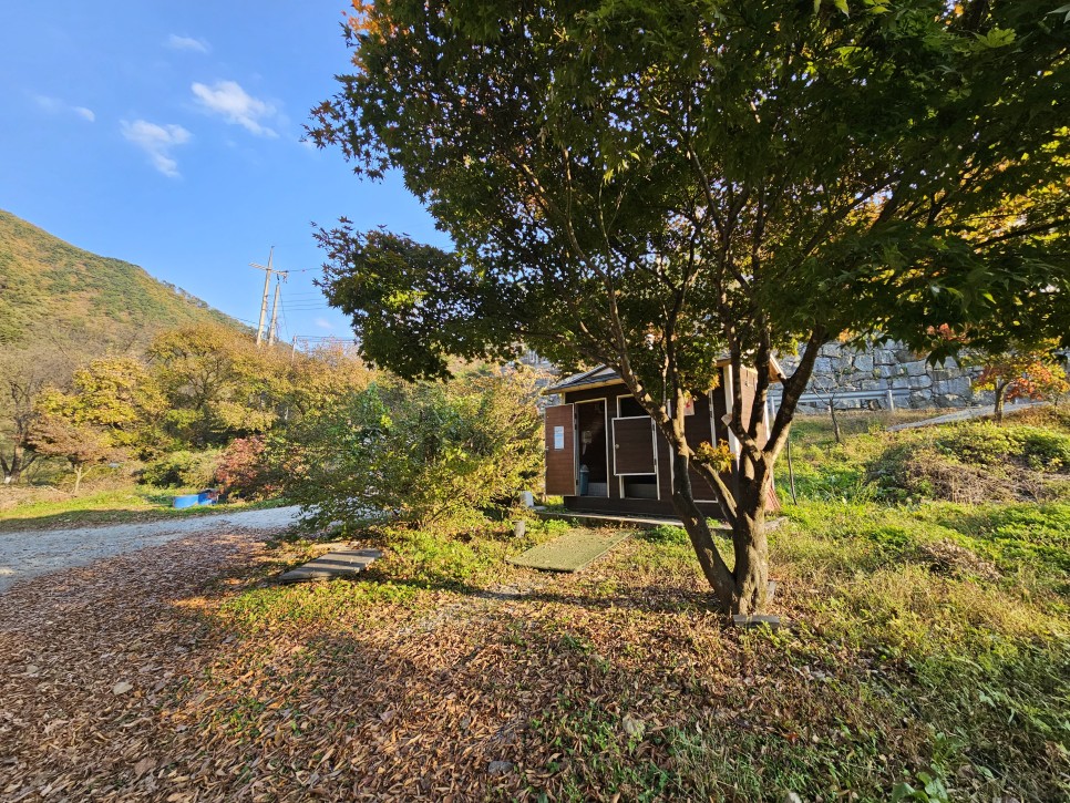 충주 차박 여행 중산낚시터 대물 향붕어 낚시 손맛 이색 차박지 추천