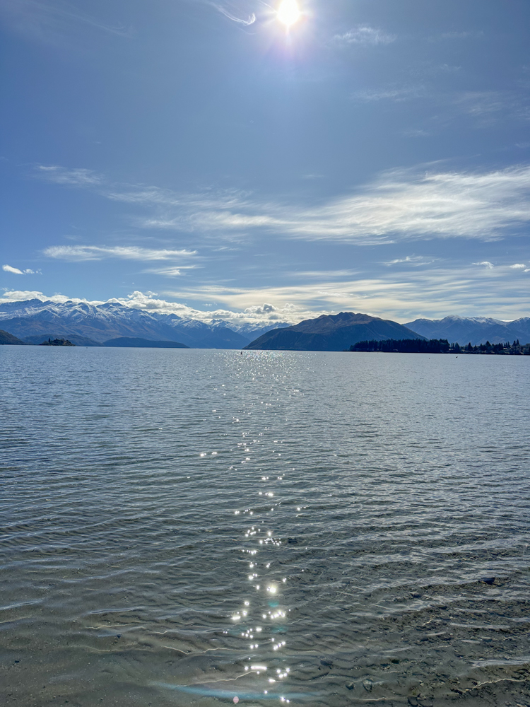 Day 3. 뉴질랜드 캠핑카 여행 퀸즈타운 인수 후기 와나카 테카포 호수