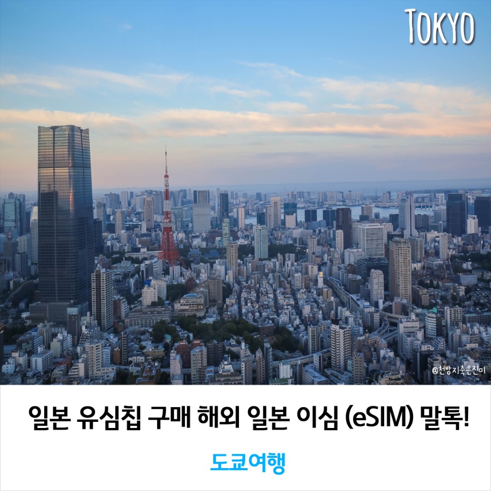 일본 유심칩 구매 해외 일본 이심 (eSIM) 말톡!