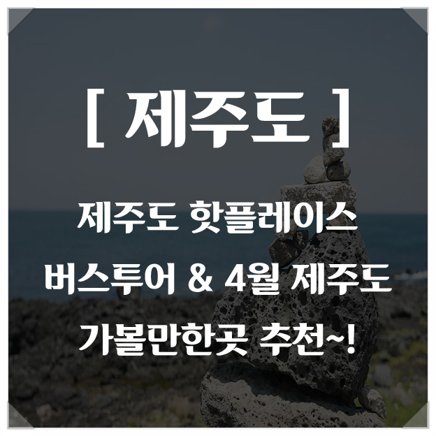 제주도 핫플레이스 버스투어 & 4월 제주도 가볼만한곳 추천~!