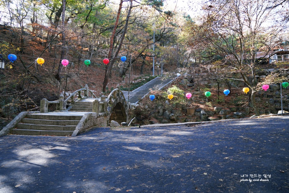 대구단풍 보러 가볼만한곳 팔공산 대구절 동화사 나들이