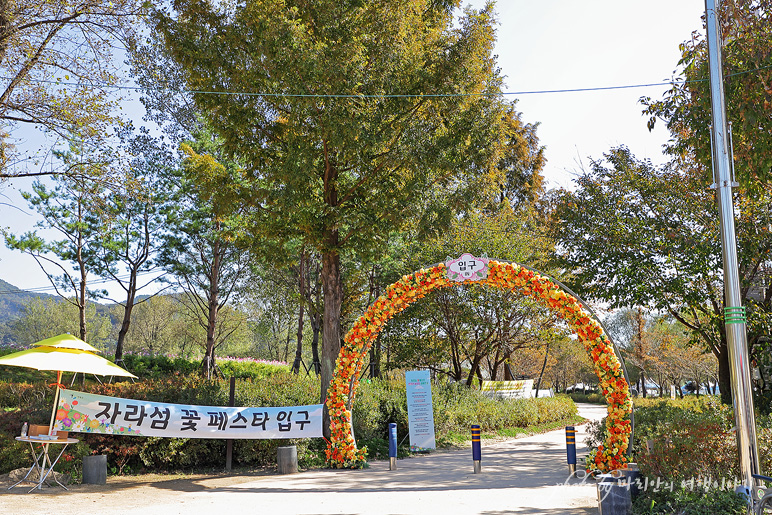 서울근교 가볼만한곳 가평 자라섬 남도 꽃정원 경기도 핑크뮬리