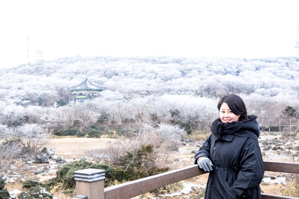 컴 고장, 제주도 눈 구경, 고구마 캐기 등등 수다