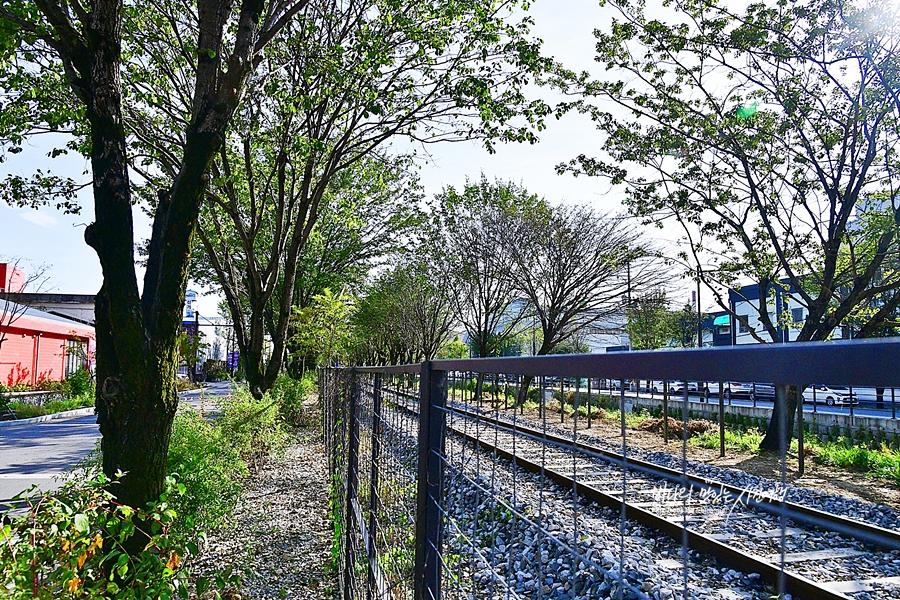 전주 가볼만한곳 팔복예술공장 이팝나무 영화의 거리 전주객사 객리단길