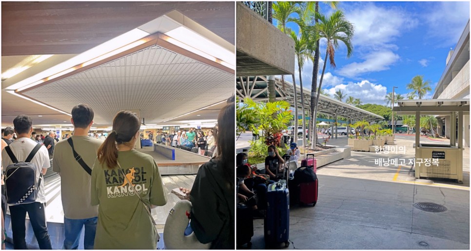 하와이 자유여행 준비물 입국 이스타 비자 공항 픽업