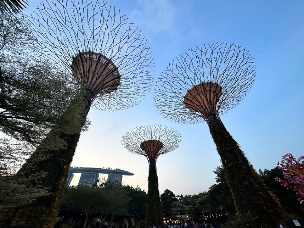 싱가포르 여행 가볼만한곳 가든스바이더베이 클라우드 포레스트 아바타 플라워돔 입장권