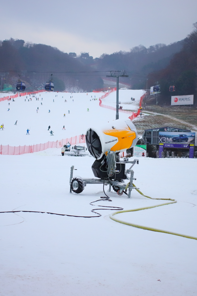 홍천 비발디파크 스키강습 어린이 초등 스키장 개장