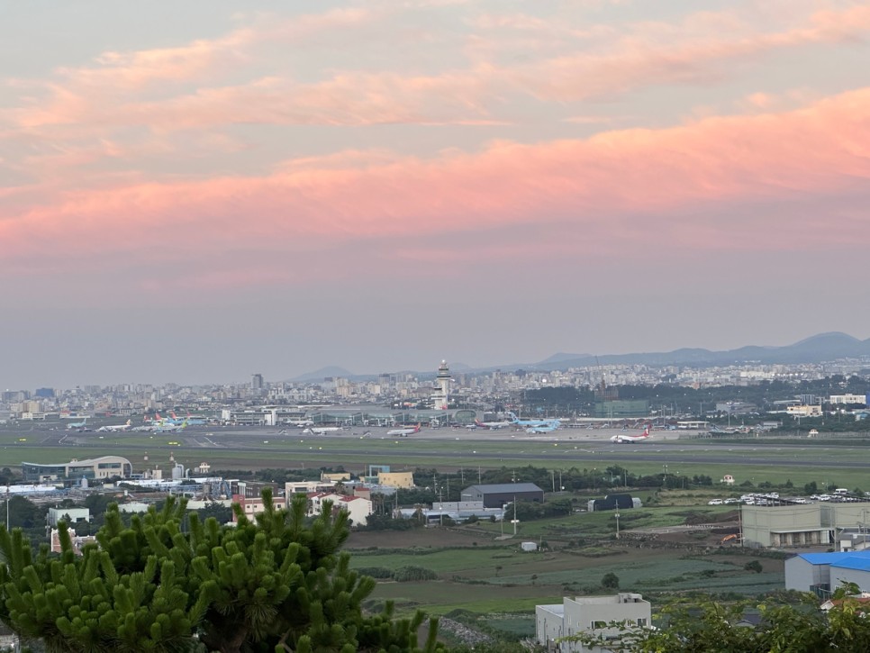 11월 제주도 가볼만한곳 여행 코스 추천 제주 볼거리 먹거리 명소 5