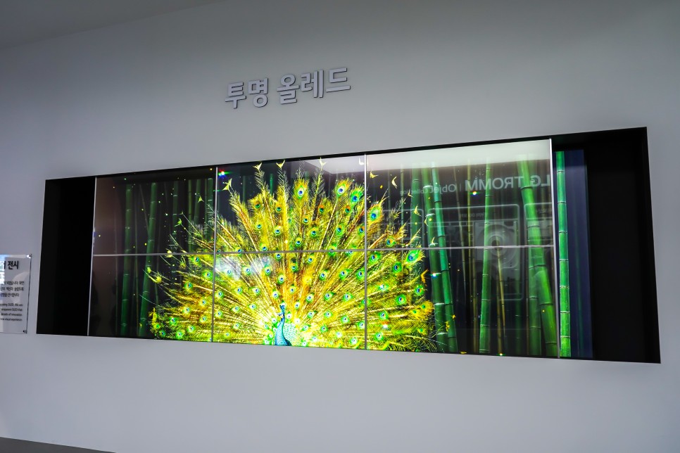 LG 기술력 어디까지 왔나? LG 매그니트 & 투명 올레드 대형 스크린을 만나다.