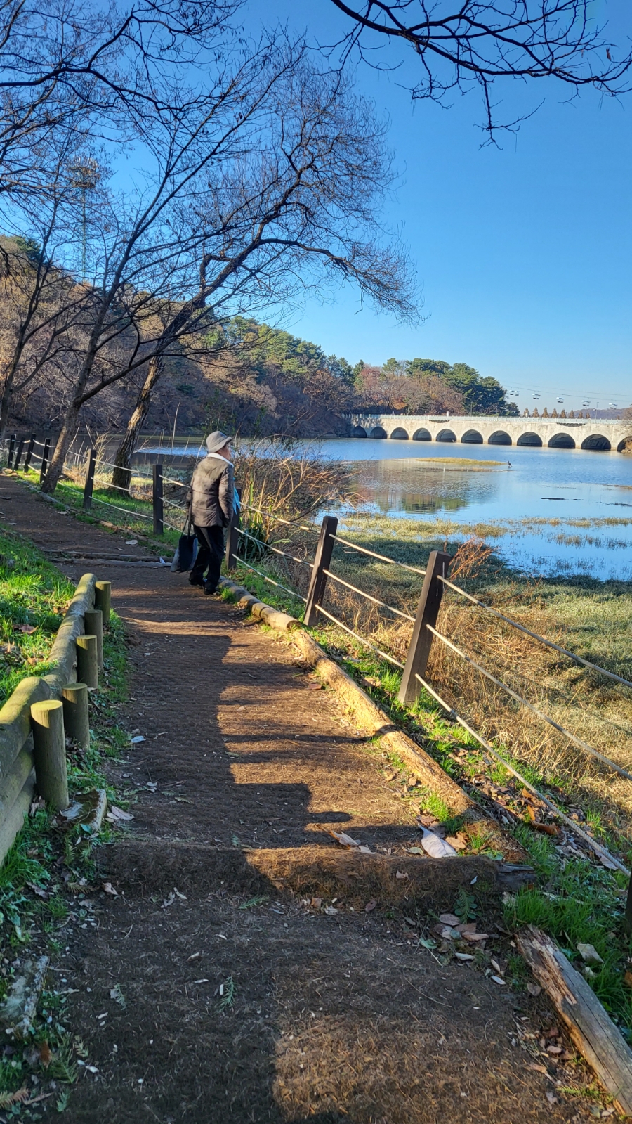 과천애문화, 과천 서울대공원 산책코스 동물원 입장권