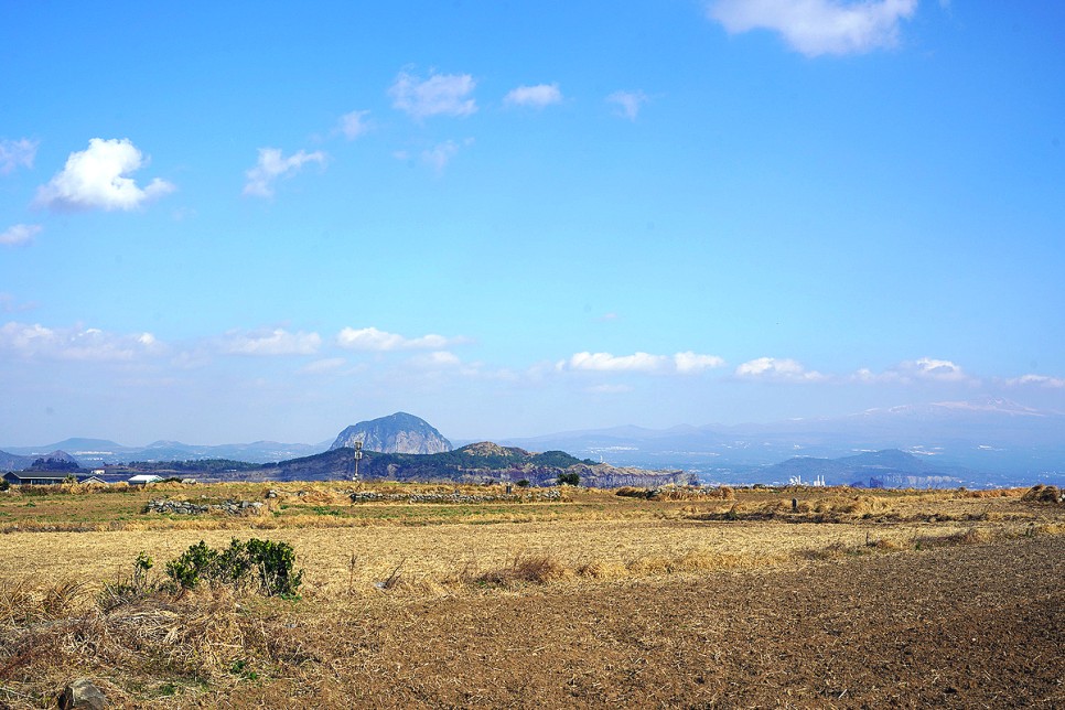 제주도 여행 제주 여행 핫플 & 제주도 항공권 기념품 이벤트 소식!