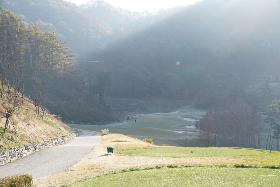 샴발라cc 후기, '도전은 좋지만 존심은 버려도 돼'