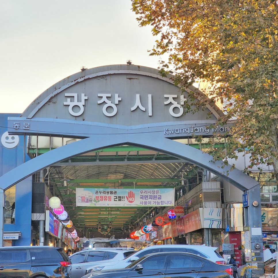 서울 광장시장 먹거리 빈대떡 호떡 꽈배기 육회 등 맛집 투어 서울핫플