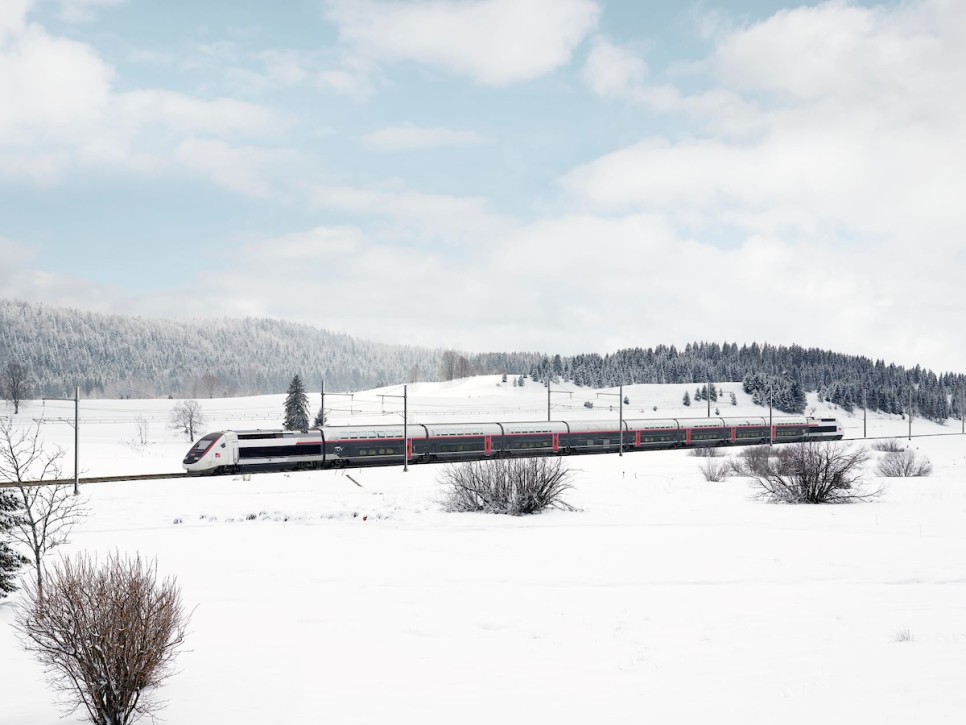 [프로모션] SNCF 기차 블랙프라이데이 할인