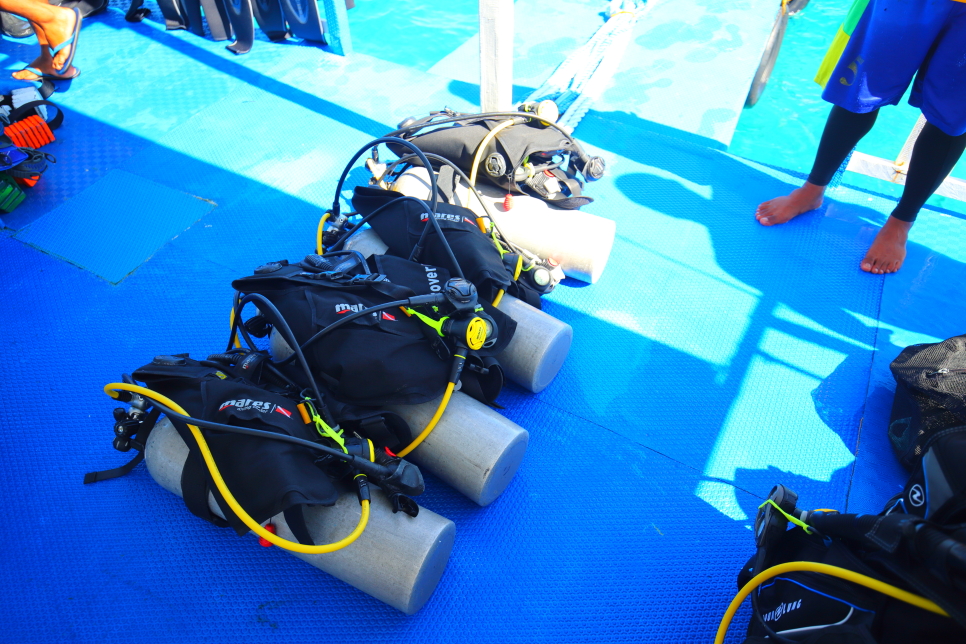 필리핀 보홀 다이빙 투어 체험 스쿠버다이빙 with 보홀트래블