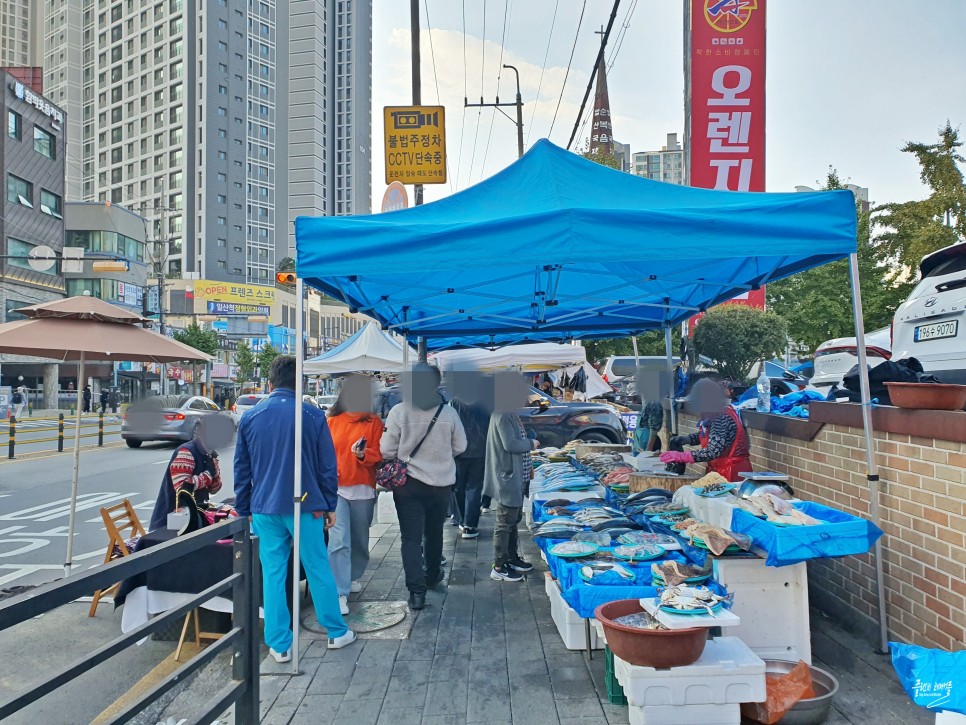 경기도 일산 가볼만한곳 일산시장 전국오일장