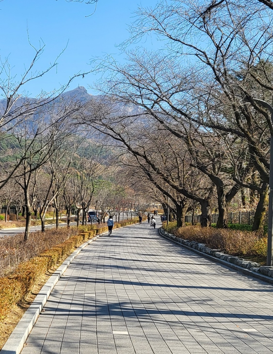 과천애문화, 과천 서울대공원 산책코스 동물원 입장권