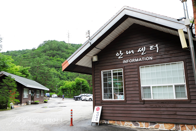 강원도 인제 하추자연휴양림 하추리계곡 품은 숙소