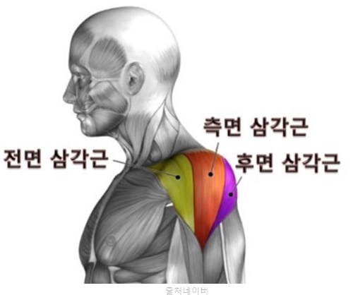 어깨 넓어지는 근육 운동 전면 측면 삼각근운동 덤벨 바벨 숄더프레스 사이드레터럴레이즈 프론트레이즈