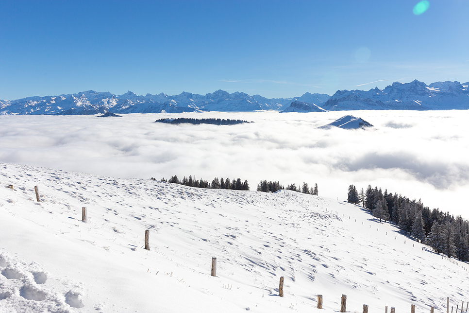 겨울 유럽여행 일정 스위스여행 취리히 루체른 리기산 프랑스 스트라스부 코스