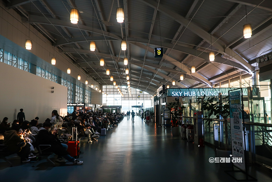 공항 바이오등록 방법 부산 김해공항 라운지 스카이허브 라운지 이용권