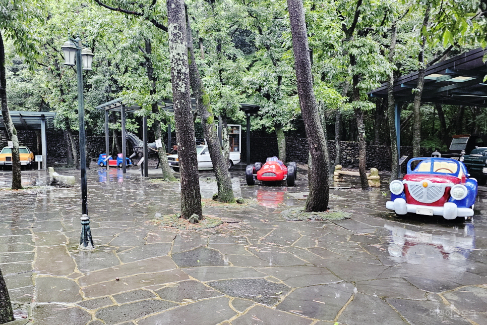 제주 세계자동차박물관 서귀포 가볼만한곳 제주도 여행