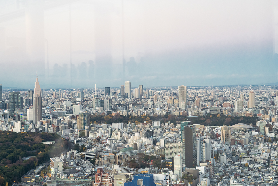 도쿄 시부야 스카이 예약 할인 꿀팁 가는법 도쿄 자유여행