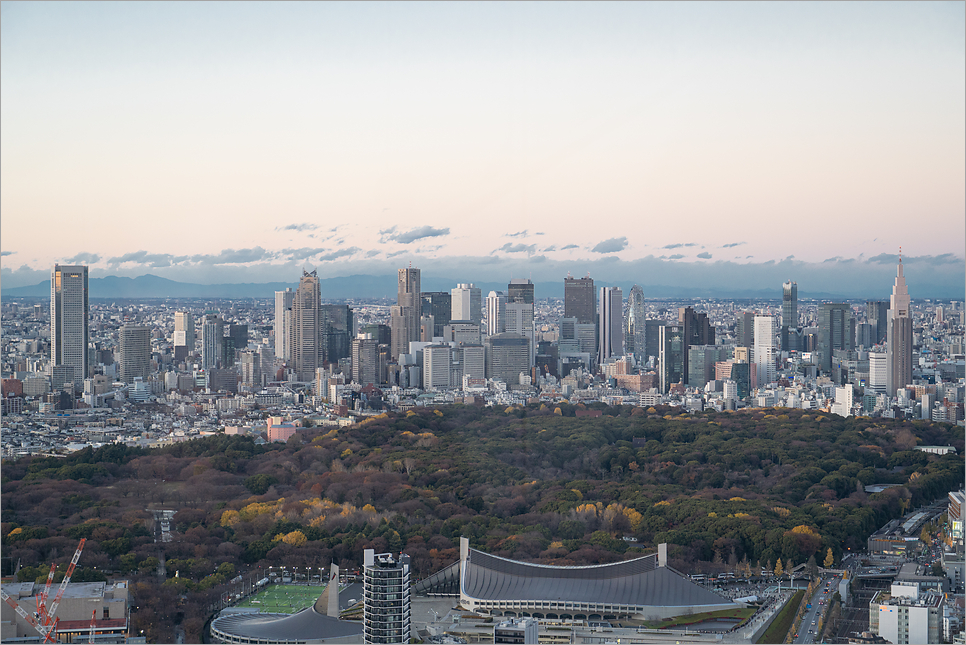 도쿄 시부야 스카이 예약 할인 꿀팁 가는법 도쿄 자유여행