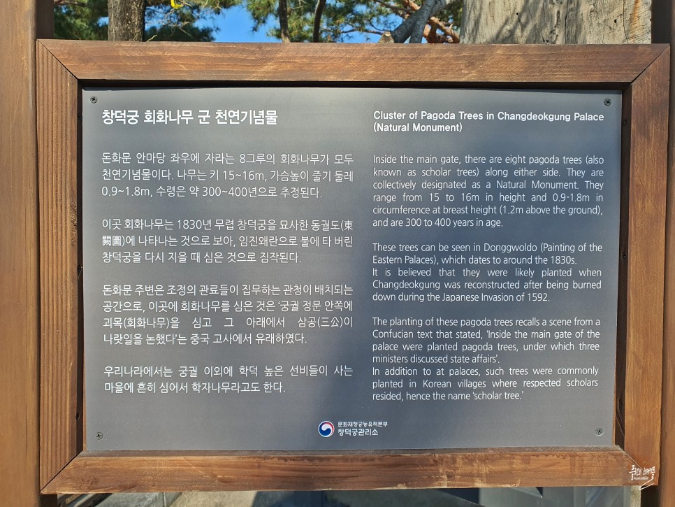서울 데이트 장소 가볼만한곳 창덕궁 서울궁궐 나들이
