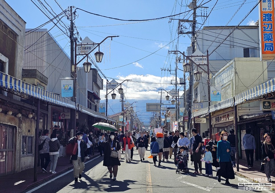 일본여행지 추천 1탄 도쿄에서 후지산 여행 시모요시다 센겐공원 맛집 포함 코스 가는 방법