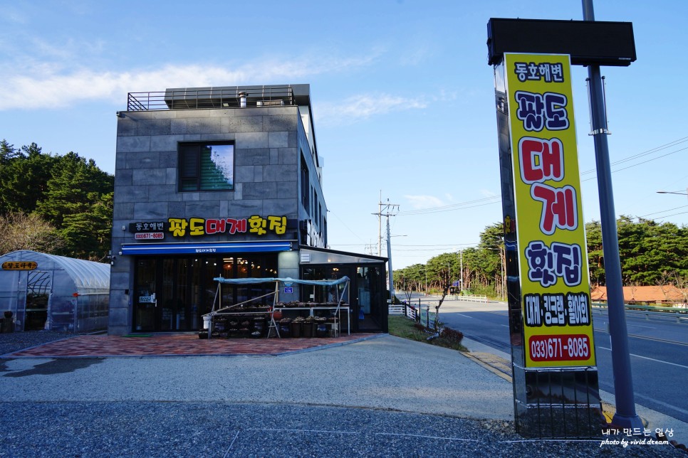양양 대게 포장 동호해변 팔도대게횟집 애견동반 가능한 맛집