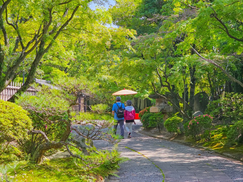 후쿠오카 시내 여행 유센테이 공원 아름다운 정원