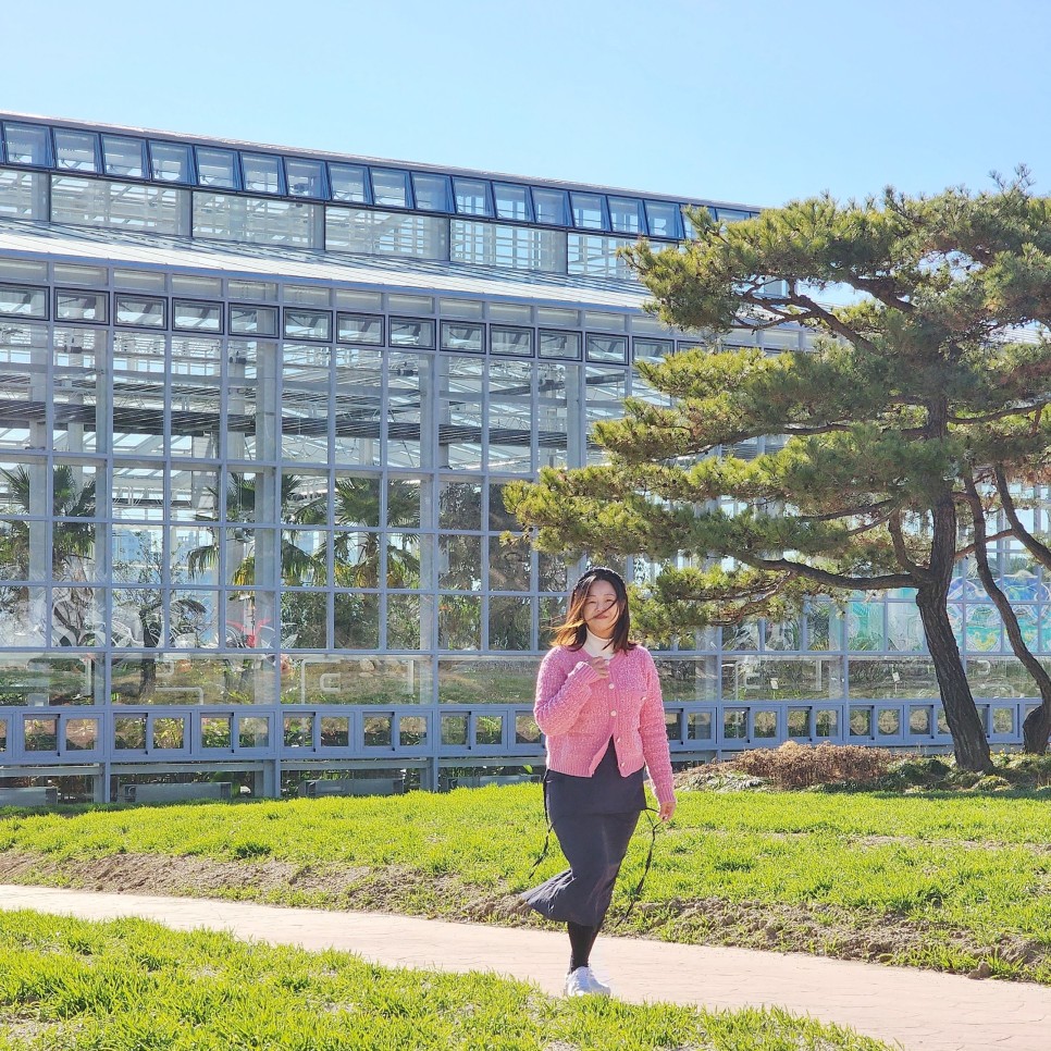 충북 제천 가볼만한곳 제천농업기술센터 & 약채락 노다지 맛집 비빔밥 점심 혼밥 추천