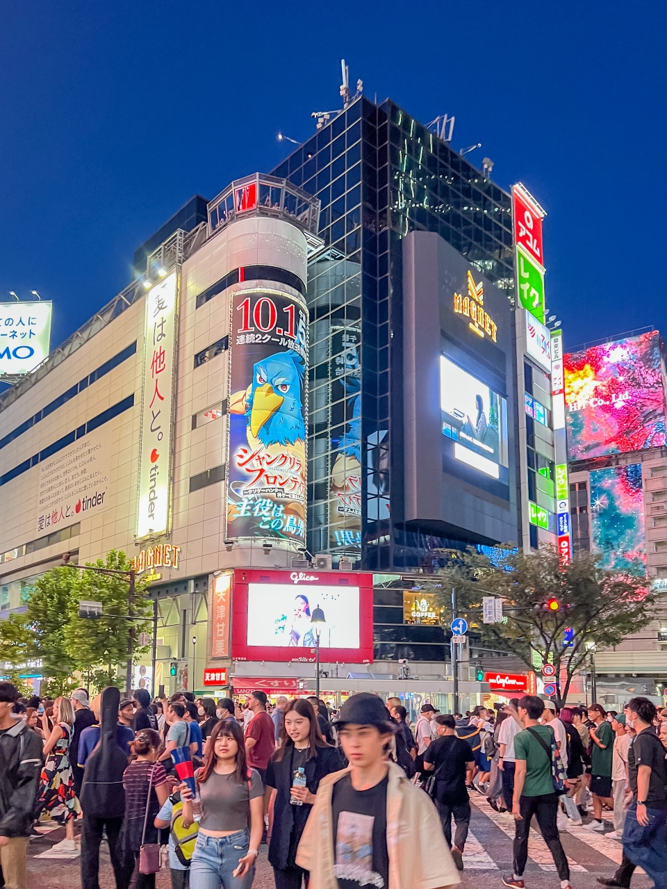 일본 도쿄 여행 5박 6일 일정 경비 : 도쿄 자유여행 가볼만한곳