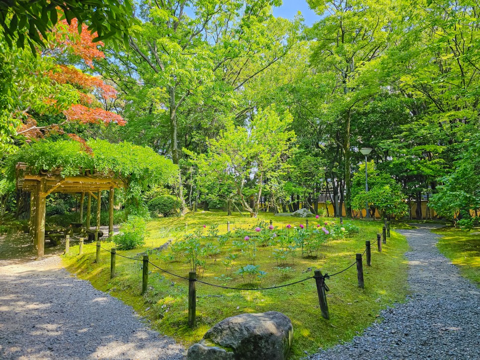 후쿠오카 시내 여행 유센테이 공원 아름다운 정원