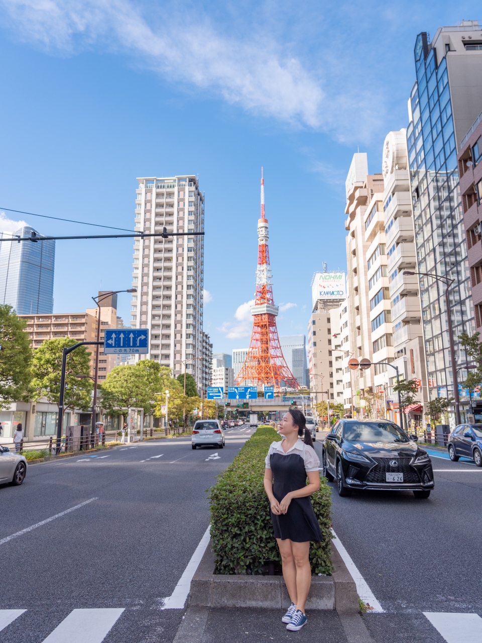 일본 도쿄 여행 5박 6일 일정 경비 : 도쿄 자유여행 가볼만한곳