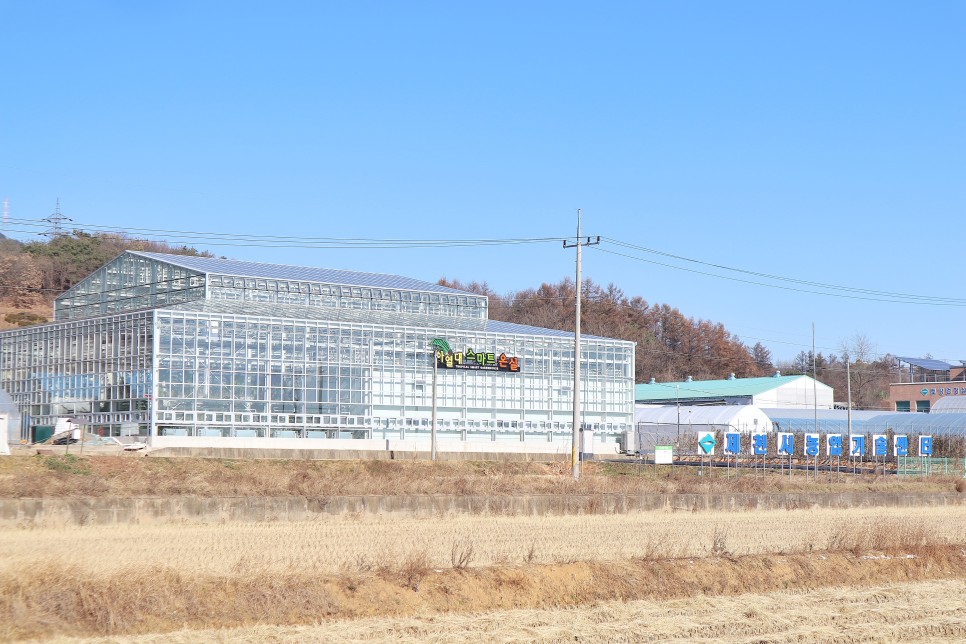 충북 제천 가볼만한곳 제천농업기술센터 & 약채락 노다지 맛집 비빔밥 점심 혼밥 추천