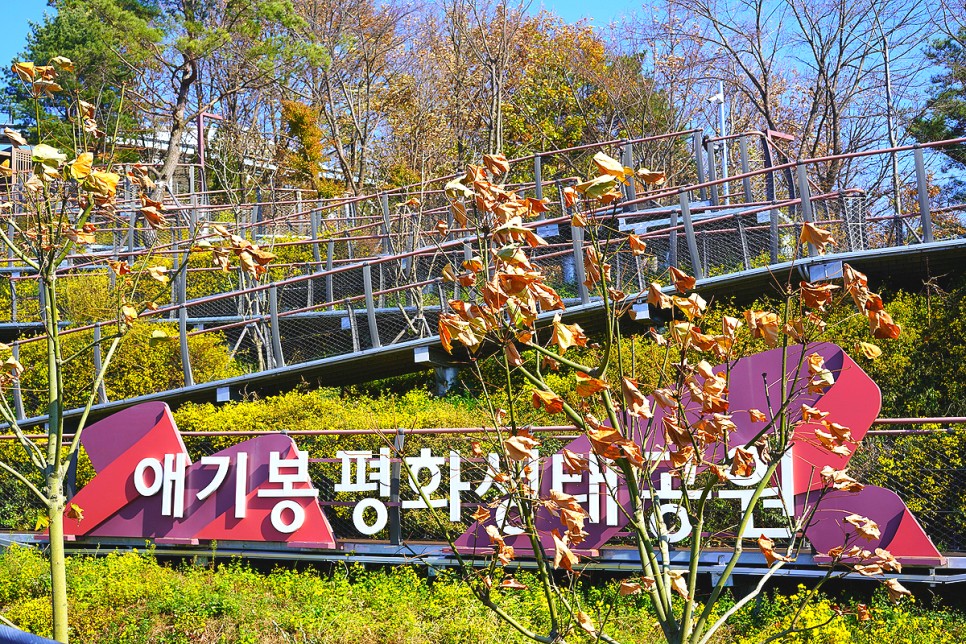 경기도 김포 가볼만한곳 여행 코스 DMZ 평화의길 애기봉 평화생태공원
