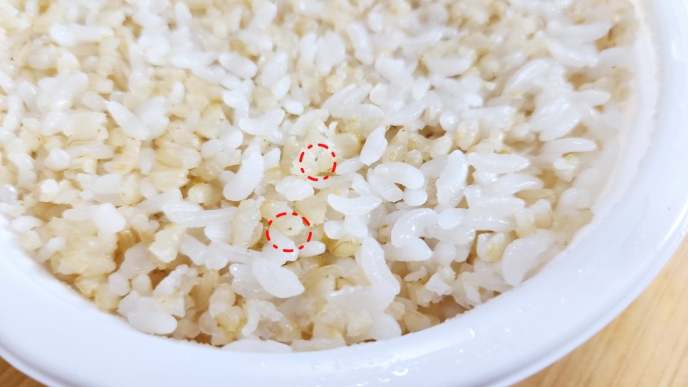 식감이 살아있는 햇반발아현미밥으로 직장인도시락 점심메뉴 꽃잎김밥 만들기
