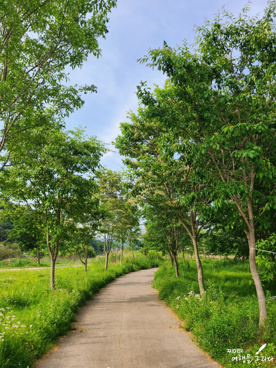 경기도 광주 가볼만한곳 여행 화담숲 남한산성 율봄식물원
